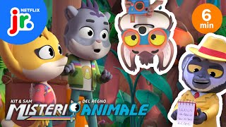 RISOLVIAMO I MISTERI INSIEME 🔍🕵️ Kit e Sam: Misteri del Regno Animale | Netflix Jr Italia