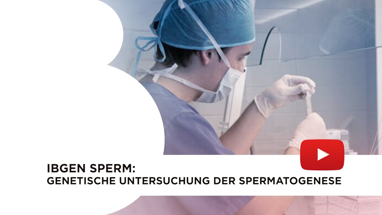 IBgen Sperm. genetische Untersuchung der Spermatogenese