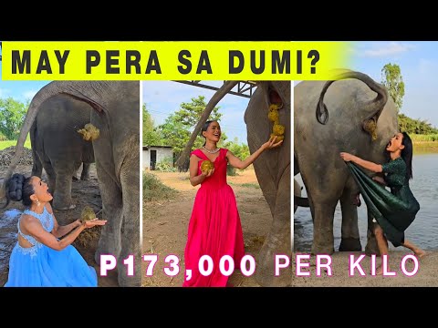 May Pera sa Dumi? P173,000 Per Kilo.