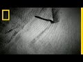 Investigation of the Shroud of Turin