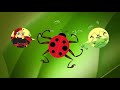 Integrated Pest Management Concepts