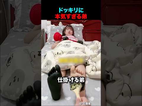 ドッキリに本気すぎる弟とその姉