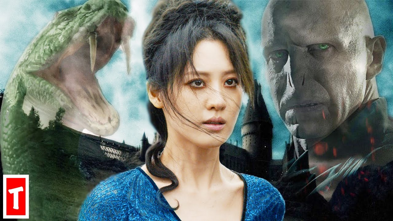 Harry Potter Fan Theories How Fantastic Beasts Will End