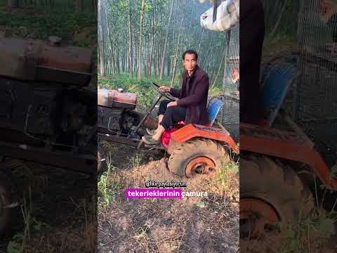 Yem Maliyetini Düşüren ve Et Kalitesini Artıran Sıradışı Yöntem #keşfet #socialmedia #viral