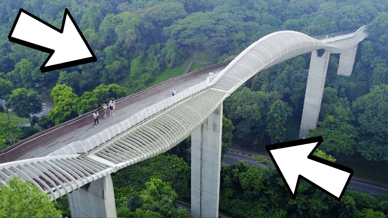 15 MOST INCREDIBLE Pedestrian Bridges
