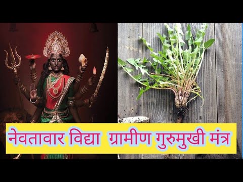 किसी भी  देवी देवता 🍃जड़ी बूटी //को निमंत्रण देने का नेवतावार GRAMIN  MANTRA