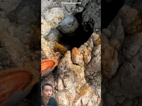 Beruntung sekali bisa menemukan air 😲‼️daylantazan5258 #shorts