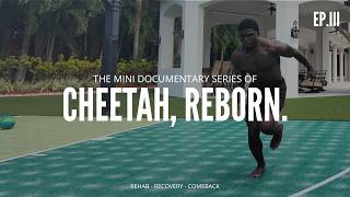 The Cheetah Runs AGAIN | The Cheetah, Reborn : Episode 3