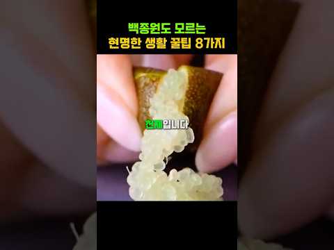 백종원도 모르는 현명한 생활 꿀팁 8가지