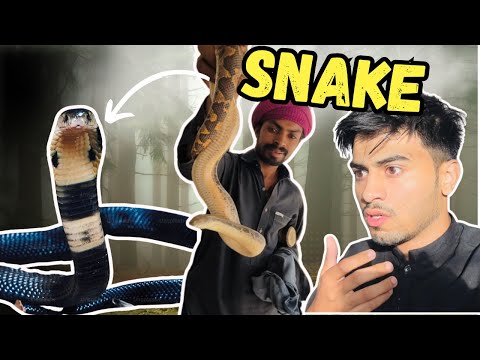 Snake🐍mil gya😱😱 | Ramadan 2024 | Dawood haroon