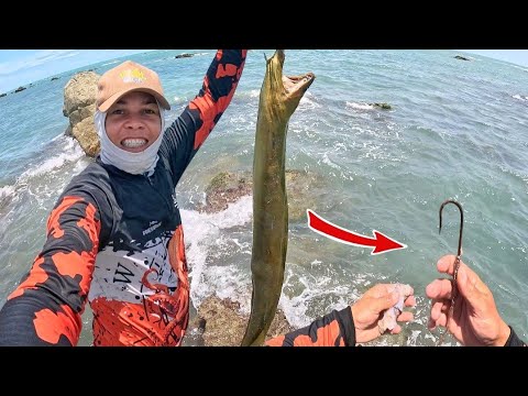 SE NÃO TÊM CORAGEM ? NEM INVENTA, PESCA DE MOREIA ( DIEGO PESCADOR AMADOR)