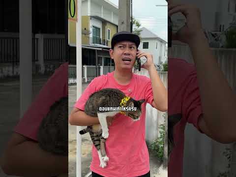 รางวัลตอบแทนเท่าไหร่ #เดี่ยวสะบีดาย #มีม #memes