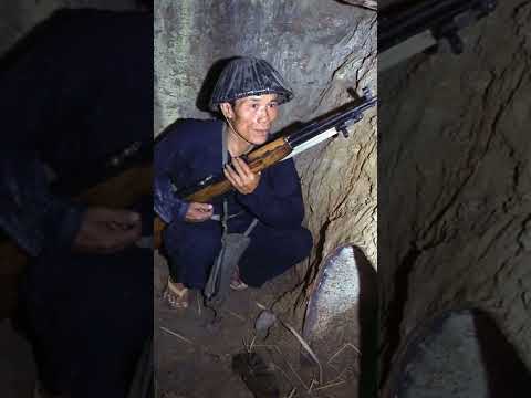Vietcong: Las Guerrillas Comunistas de Vietnam del Norte - Curiosidades Históricas #Shorts