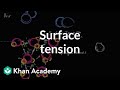 Exploring Surface Tension and Hydrogen Bonding