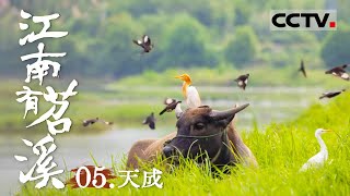 《江南有苕溪》05 天成：苕溪复杂的水网交织成江南的富庶画卷 如今苕溪岸边 已是一座充满想象力的未来之城【CCTV纪录】
