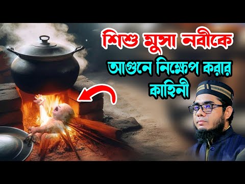 শিশু মুসা নবীকে আগুনে ফেলার কাহিনী shahidur rahman mahmudabadi new waz 2025 মাহমুদাবাদী ওয়াজ ২০২৫