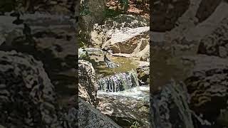 #relax " Aves en la cascada" #nature