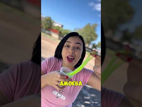 QUEM ESTRAGOU MINHA AMOEBA ?