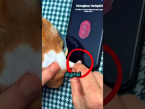 Ela colocou a digital do hamster no CELULAR‼️🐁😅 #curiosidades #shorts