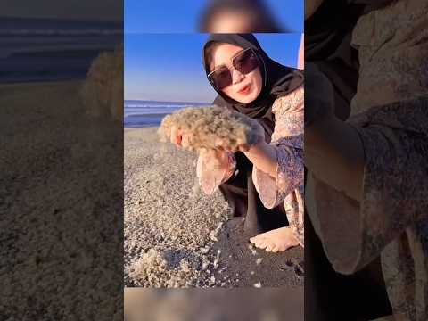 Baby Crabs A Millionaire Secret #shorts