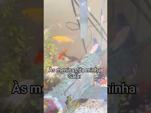 Às meninas da minha sala 😂🏫 #explore #memes #viral #humor