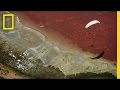 Exploring Unique Features of Deserts