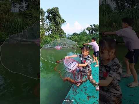 Fishing competition between the Brother and Sister #shortvideo