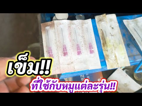 การใช้เข็มแต่ละเบอร์กับหมูแต่ละรุ่นlKruThanพาทำ