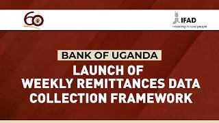 Launch of the Weekly Remittances Data Collection Framework