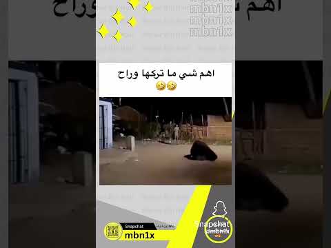 المهم انو طلع راجل 😱😱 #music #like #اكسبلور #ترند #cute #ضحك #cover #funny #دويتو