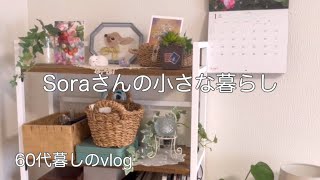 《60代ひとりと猫との暮らし》もうひとつの年末年始/自由と引き換えにしたもの/変わる暮らし　　#ひとり暮らし  #猫との暮らし 