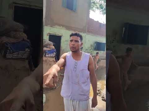 🚨 فيضان يبتلع أشمون.. المياه جوه البيوت بالمنوفية! 😱🌊
