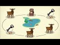 Proportional Representation Concepts