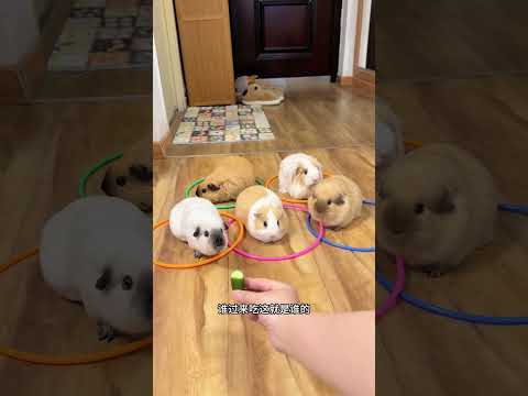 Whoever my mother calls comes over to eat me and I tell you that there are many dragons in the m