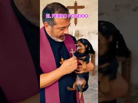 vamos rir kkkkk kkkkk kkkkk