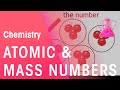 Understanding Atomic and Mass Numbers