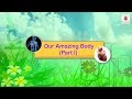 Human Body Systems and Functions