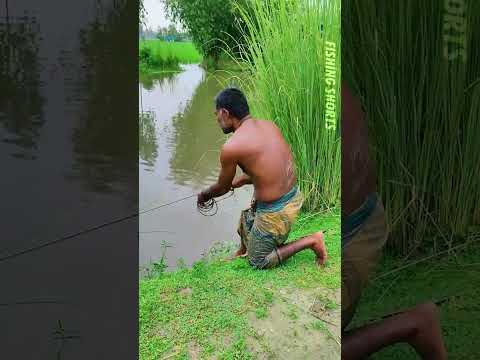 VILLAGE GRANDPA FISHING IN KRISHNA VILLAGE POND 