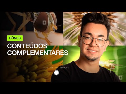 Bônus: Aula 4 - Conteúdos Complementares