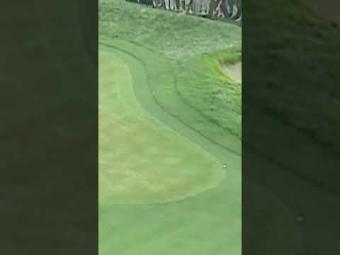 The announcers were in disbelief when Tiger hit this shot in the 2000 U.S. Open ???