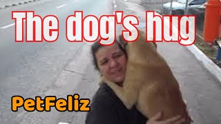 Cão Abandonado,  apavorado, se entrega nos braços da Protetora, Petfeliz protegendo os animais