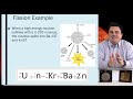 Nuclear Chemistry Concepts and Applications
