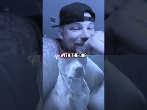 i can't stop laughing. #duet #stitchtricks #funnyvideos