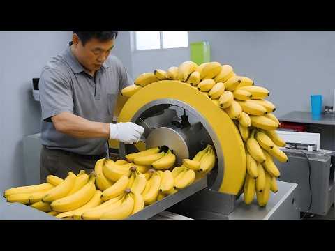 Modern Food Processing Machines operating at an Insane Level Ep:09