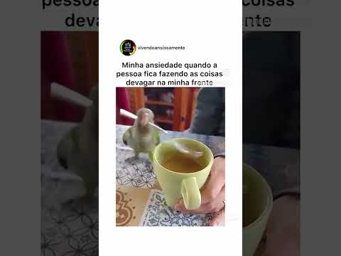 Que bicho atoa