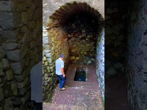 grandfather caught a big fish 😂 #Catsoftiktok #CatLovers #cat #cute #FunnyCats #catcartoon #fyp