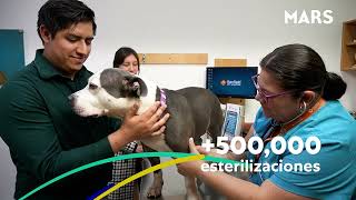 MARS cerca de las mascotas: Nutrición para estar MARS cerca de las mascotas