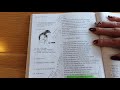 Juliet's Dilemmas and Decisions