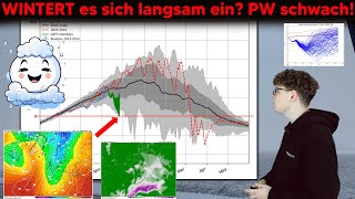 WINTERT es sich langsam ein? ☃️ Polarwirbel SCHWÄCHELT! Langfristprognose! #wetter #snow #winter