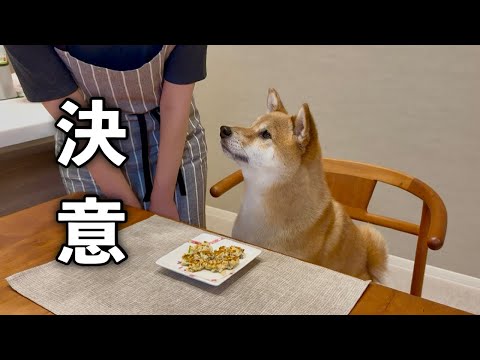 愛犬とふたり暮らしになり決意したことがあります